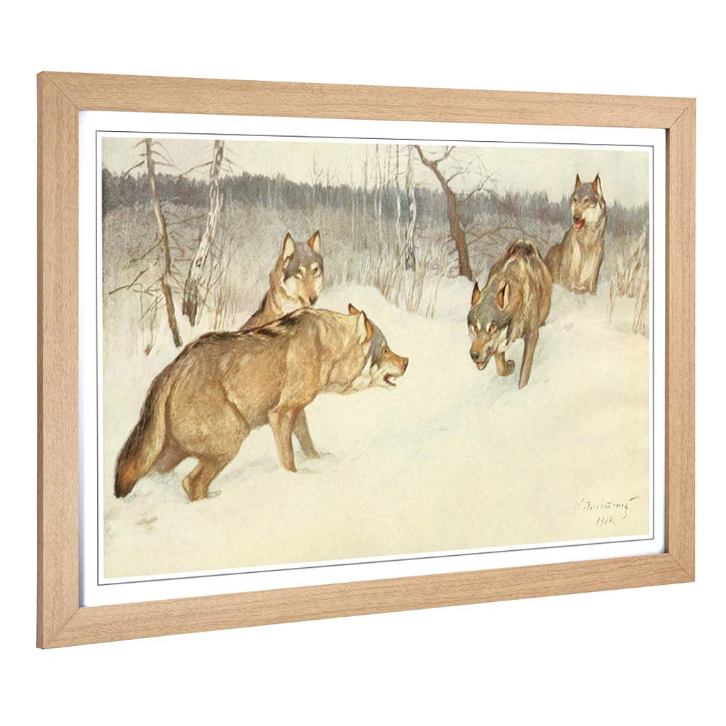 Big Box Art Framed Print of Vintage Brehms Tierleben 1911-14 Wolf Design | Wall Art Picture | Home Decor for Kitchen, Living Room, Bedroom, Hallway, Oak, A2 / 24.5x18 Inch / 62x45cm