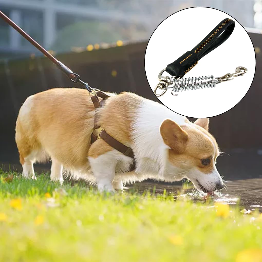 Juego de 10 correas para perro, suministros para mascotas, accesorios exquisitos para exteriores, estructura firme de alta resistencia, ajustable, gancho profesional para cinturón