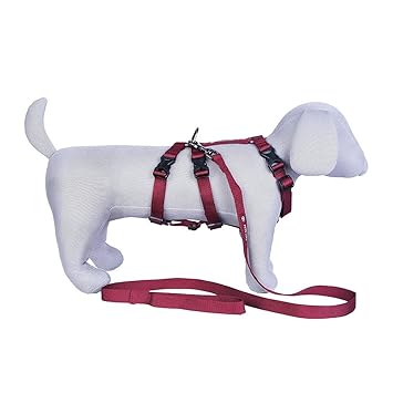 Pets Like Dog Double H Harness with Collar Clips and Leash Set Maroon(Large) (GE-PL8008D)