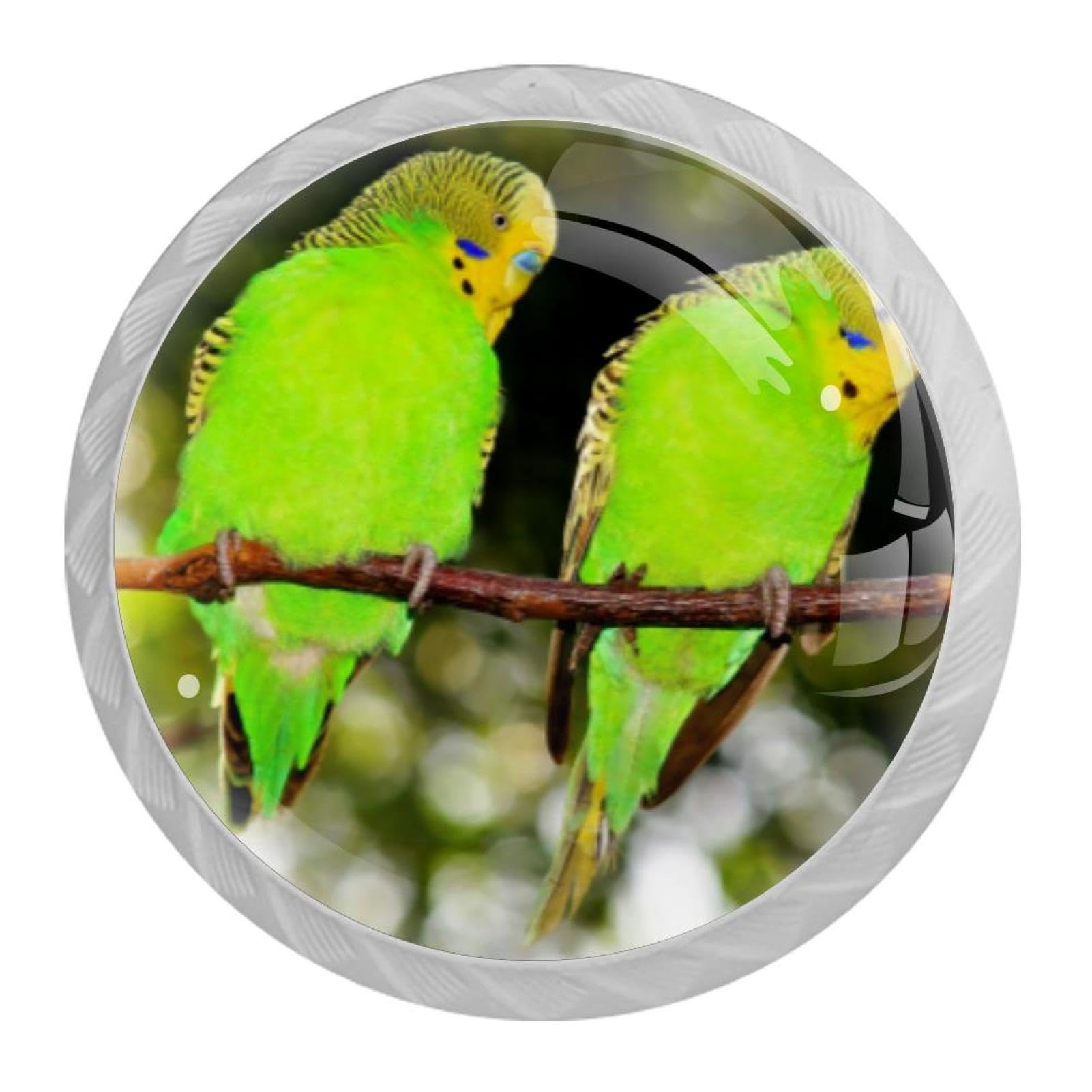 Tqmspg Multi20 4 Pieces Drawer Pulls Parrots Birds Door Knobs Dresser Handles For Kitchen Wardrobe Cupboard Hardware Furniture