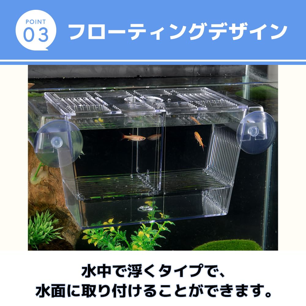 参考画像 隔離水槽付き 【公式通販】