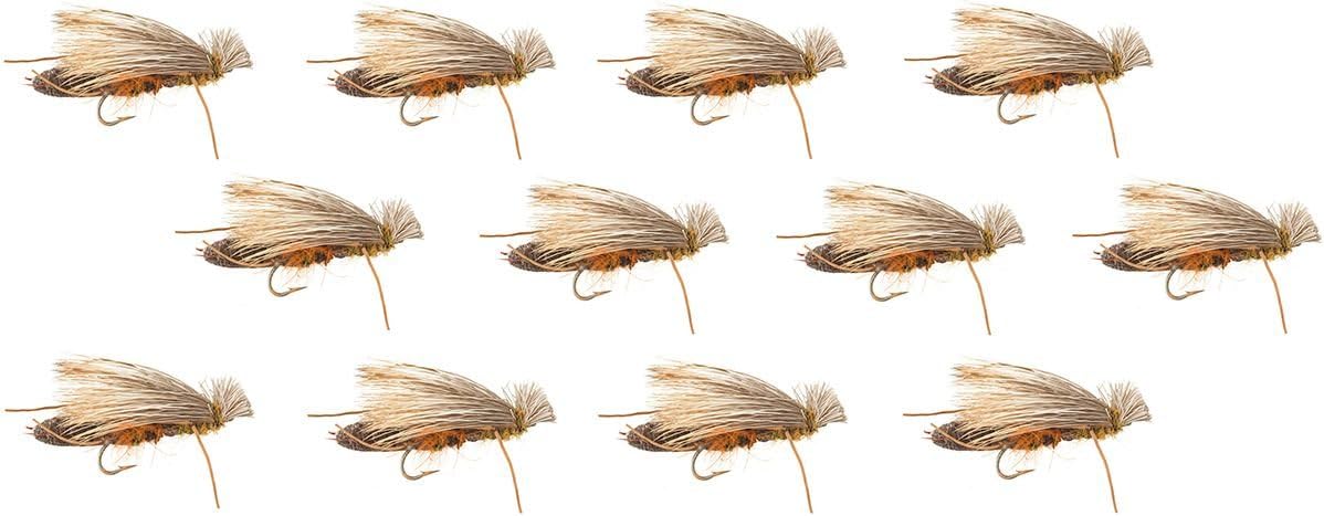 Ebony Vomit Ebony Vomit