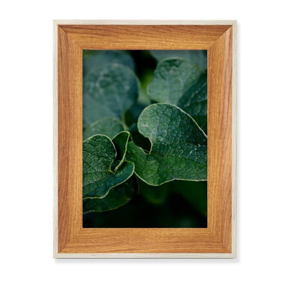 Cadre de photo en bois de bureau plante a feuilles sombres tableau art peinture nature sauvage