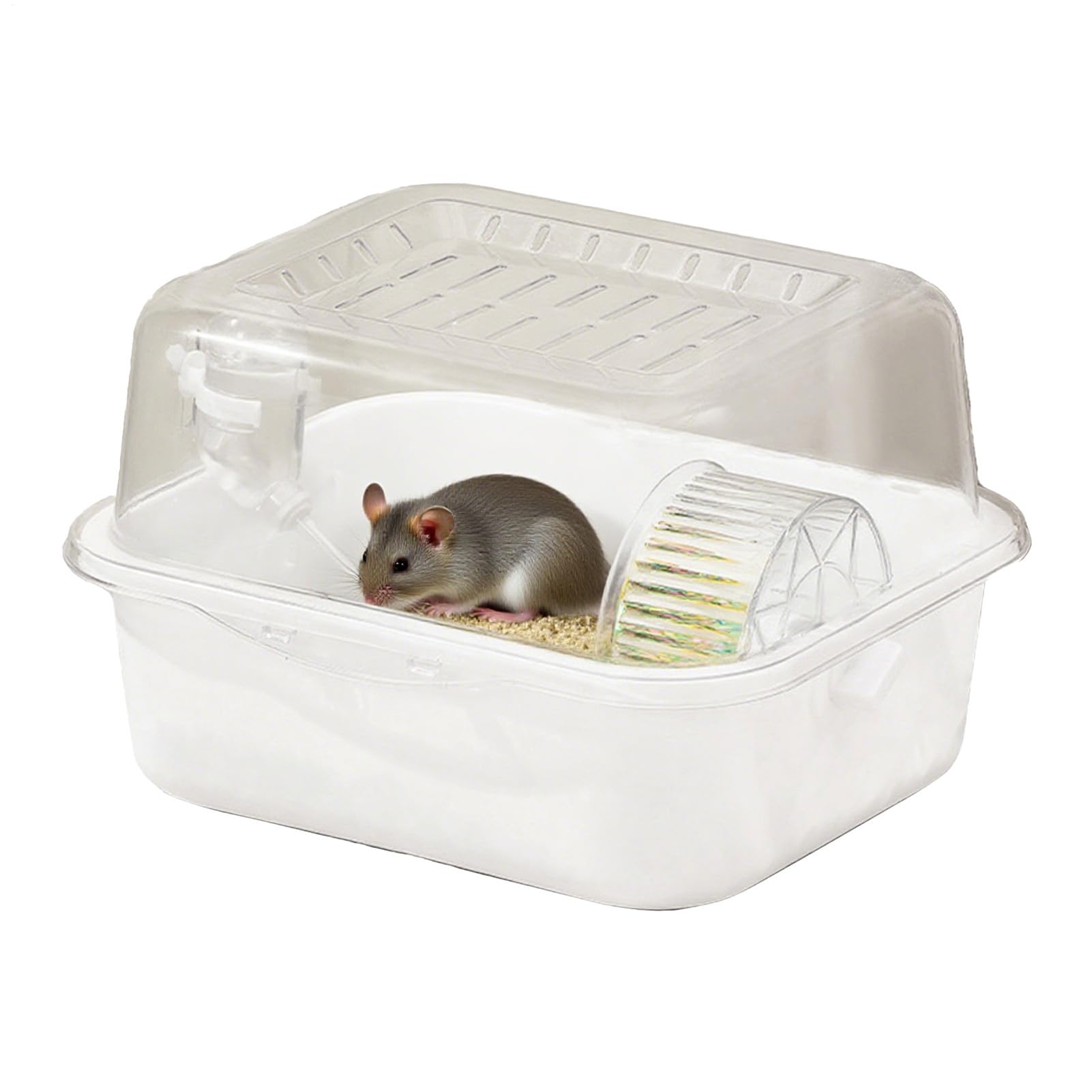 Maison pour hamster transparent, habitat de jeu et sommeil pour gerbilles