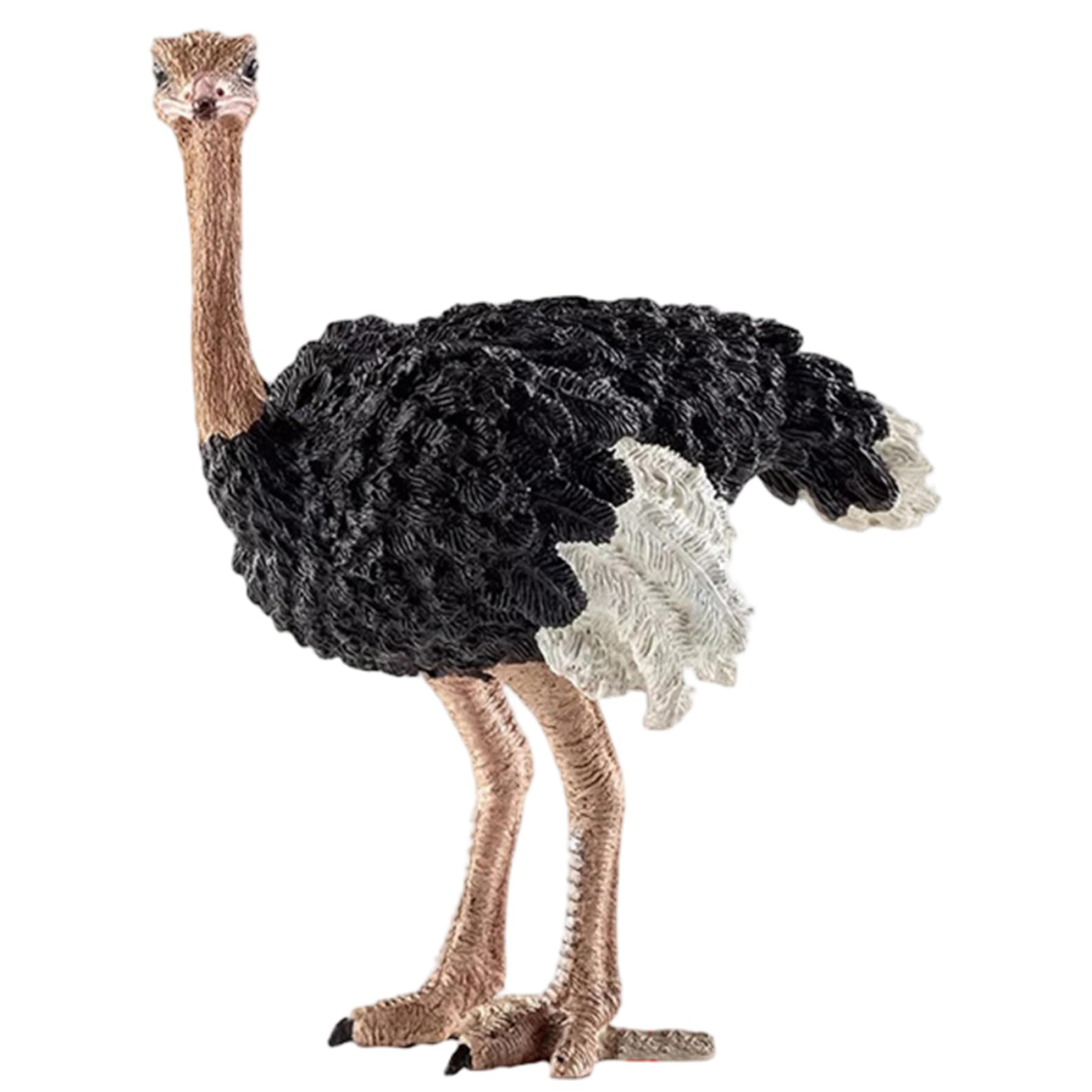 Yeaxxsqy Animal Toys, Realistic Ostrich Animal Figures Detailed Educational Toys for Boys, Girls