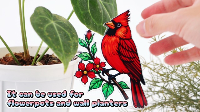 Amazon.com: FBBP Hummingbird Gifts for Women, Hanging Plant