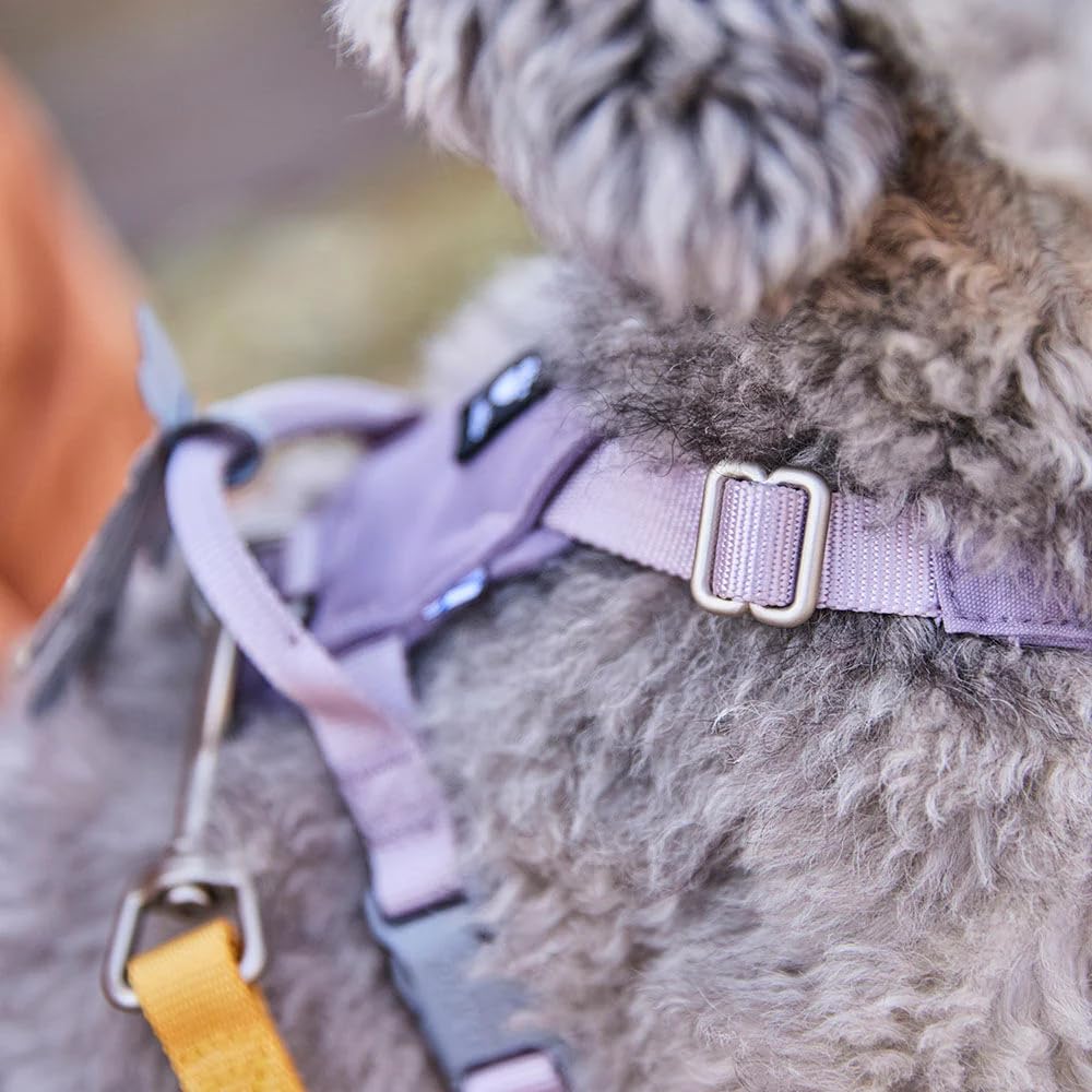 Hurtta Seeker Arnés para Perros (Honey, 45-60)