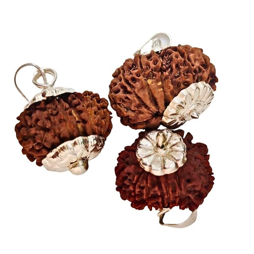 12 Mukhi Twelve Faced Nepali Rudraksha Silver Plated Pendant at Wholesale Rate (Rs 3785/piece) Spiritual Healing Loose Seed Fine Quality Rudraksh for Reselling Astrologers Jewellers