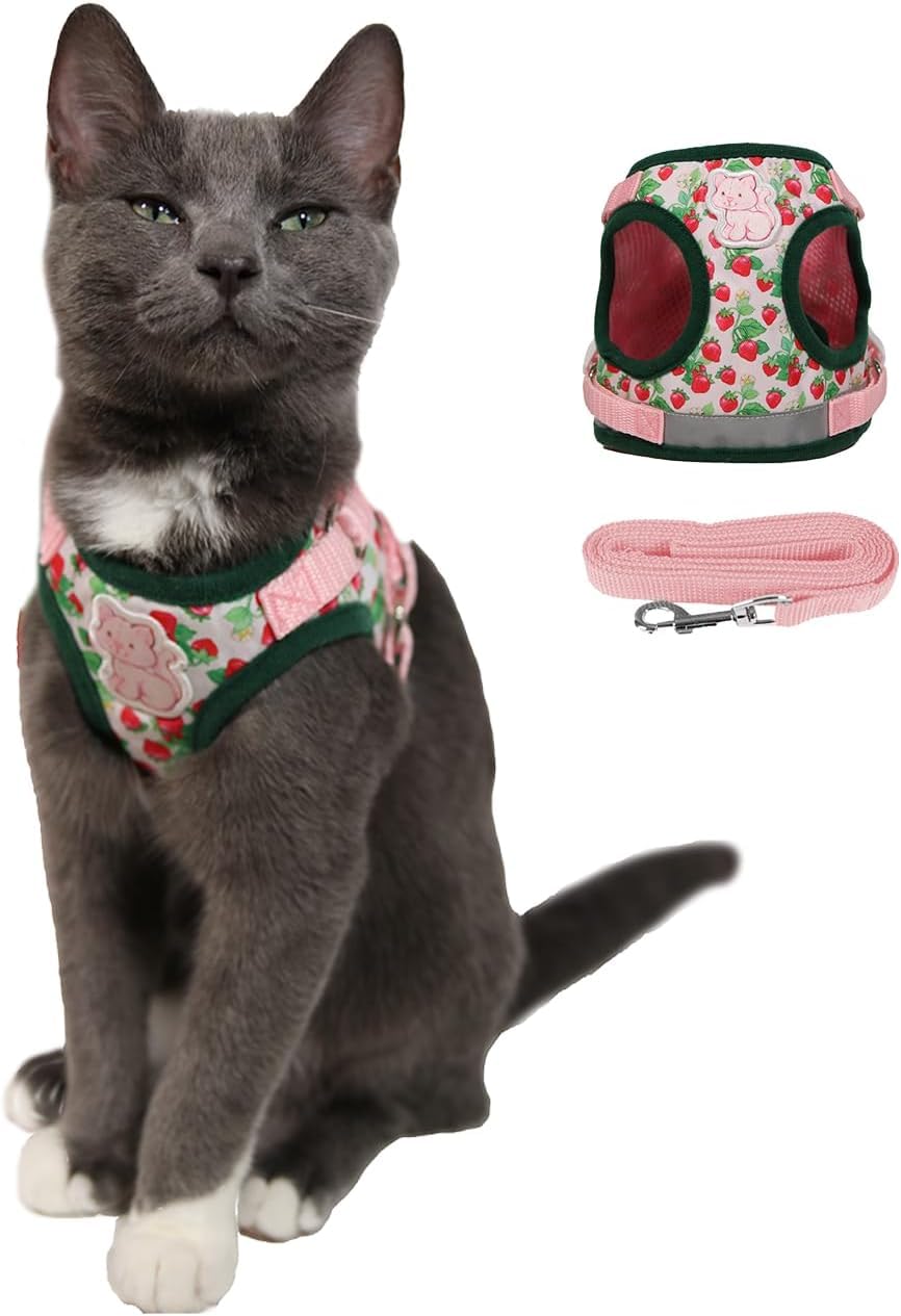 Travel Cat Set di pettorina e guinzaglio con motivo fragole, regolabile, in rete, con cinghia riflettente, per gatti, gattini, per attività all'aperto (torta alla fragola, grande)