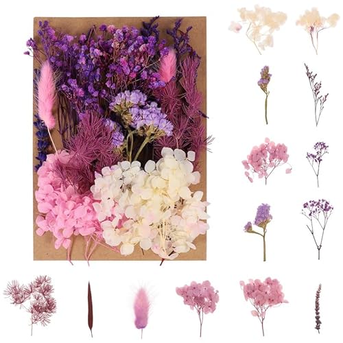 Halinuia Bouquet de Fleurs Séchées Naturelles Vraies Fleurs Pressées Décoration pour Bricolage Résine Epoxy Bijoux Floraux Nail Art DIY Bougie Fabrication Artisanale Scrapbooking(Violet)