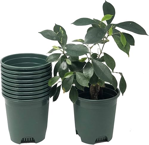Miniatura 8 de Paquete de 10 macetas verdes de plástico negro de 5 galones con drenaje para plantas grandes en interiores y exteriores