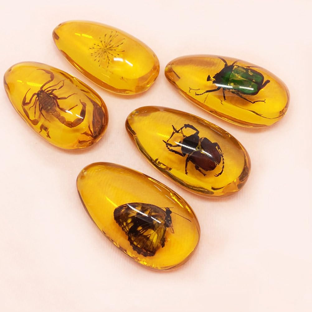 Milisten Mezcla de fósiles de con piedras de muestras de insectos. "Kristallproben Wohnaccessoires - Colección de colgantes ovalados para niños (2 unidades)