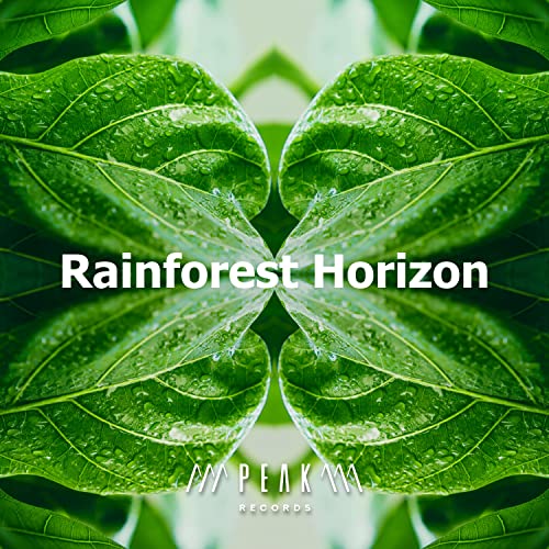 Rainforest Soundscapes