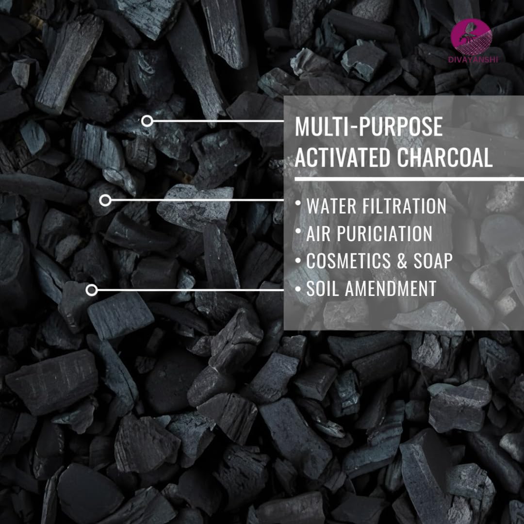 Divayanshi Charcoal Briquettes - Natural BBQ Flavor -5