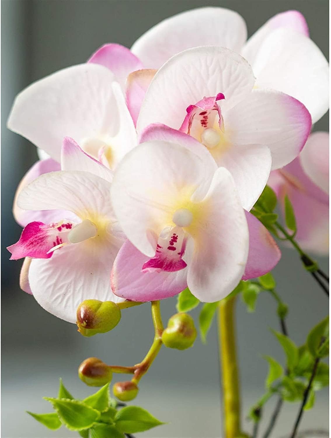 Orquídea Phalaenopsis Artificial de 48 cm en Elegante Maceta de Porcelana Dorada. Ideal para decoración del hogar, Bodas u Oficina. Aspecto Natural y fácil Mantenimiento.