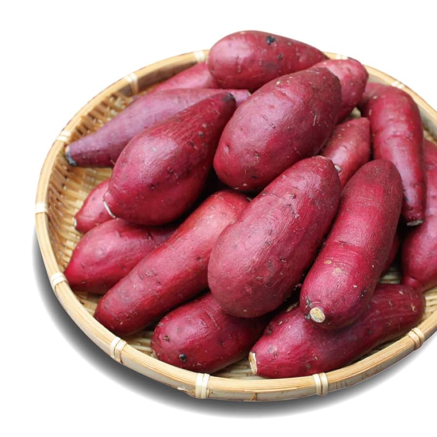 Amazon.co.jp: 紅はるか ベビーサイズ 10kg (9kg+保証分1kg) 土