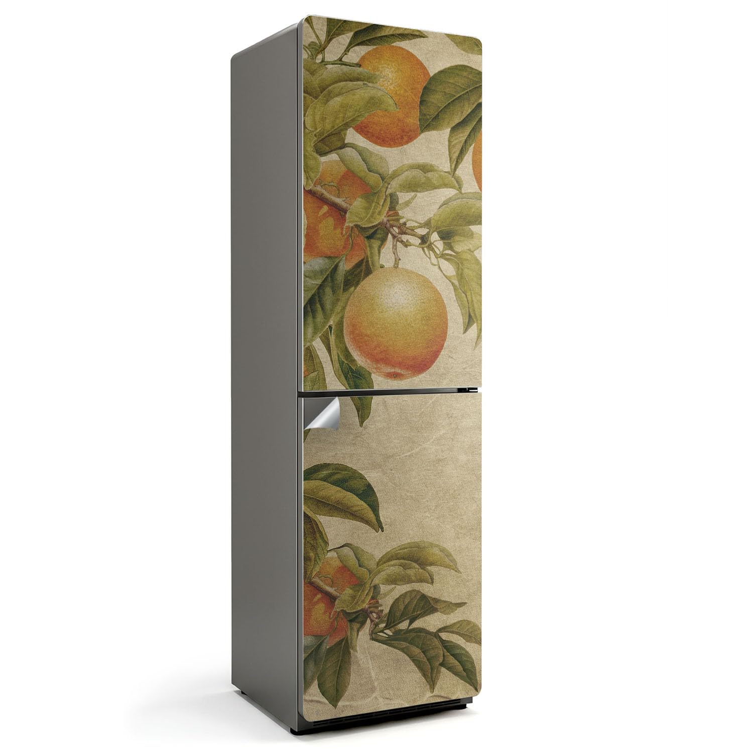 Stickers Réfrigérateur de Cuisine Motif Fruits Décoration Murale 60x205