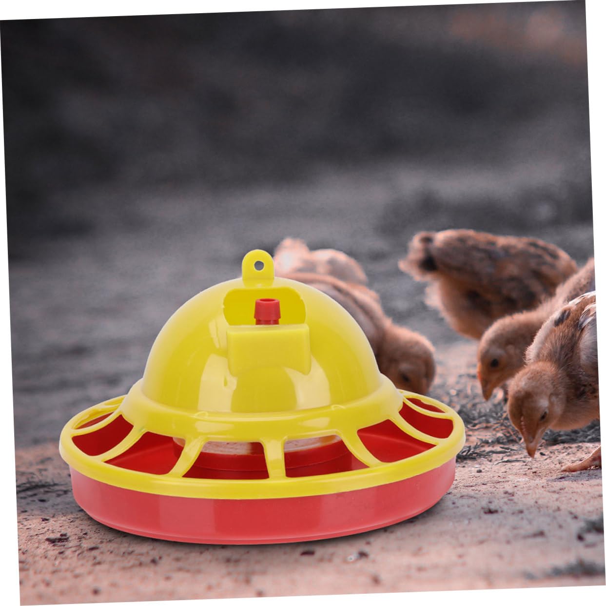 POPETPOP 4 Pièces d'eau pour Pigeons De Nourriture pour Volailles Mangeoire pour Poussins Support d'eau pour Volaille Tasse d'alimentation pour Oiseaux Kit