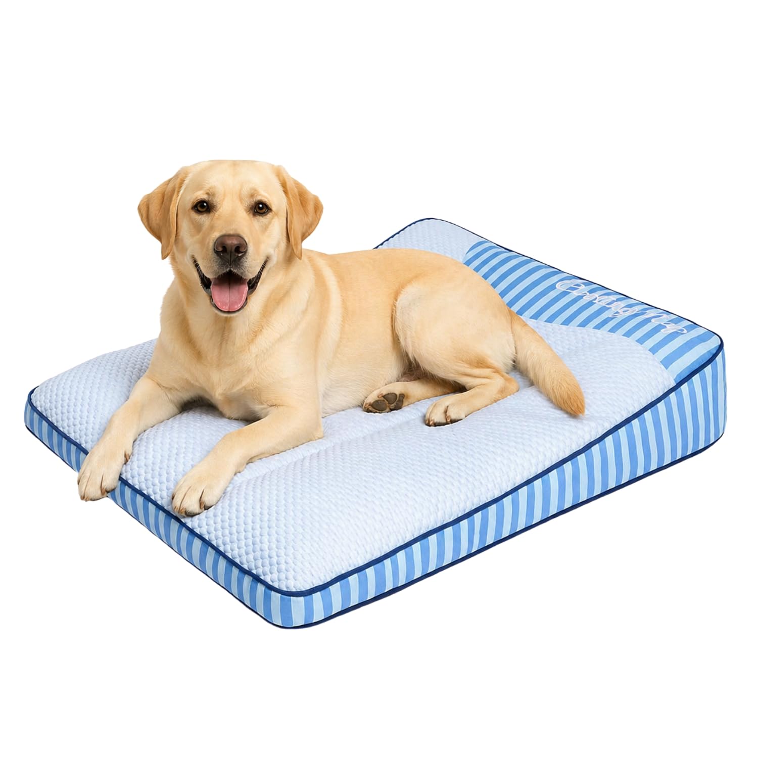 Amazon | GIIPET 犬用ベッド ペットベッド 夏用 クッション ひんやり