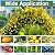 Garden Arch Trellis for Climbing Plants Outdoor - (Black, 81x36x32in) Cucumber Trellis for Raised Bed with Net, Garden Trellis for Climbing Plants, Cucumber, Vegetable, Tomato, Flowers 20mm Thick