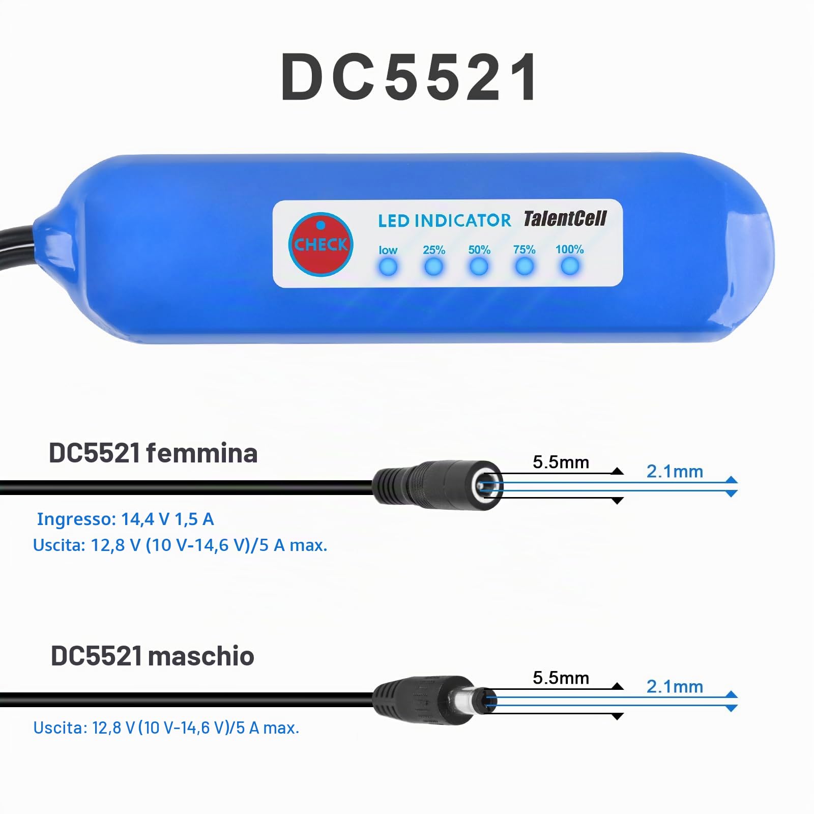 Talentcell Batteria ricaricabile LiFePO4 da 12 V, oltre 3000 cicli 12,8 V, 6000 mAh, 76,8 Wh, batteria di riserva al litio ferro fosfato con uscita DC 12 V per striscia luminosa a LED, telecamera CCTV