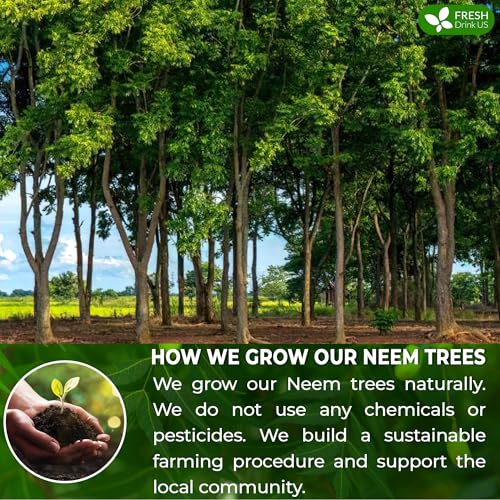 Image of FRESHDRINKUS Premium 6oz Neem Leaves, 100% Natural & Pure, Wild Harvested, Cut & Sifted, Neem Leaf Herbal Tea, No Additives, No Caffeine, Vegan