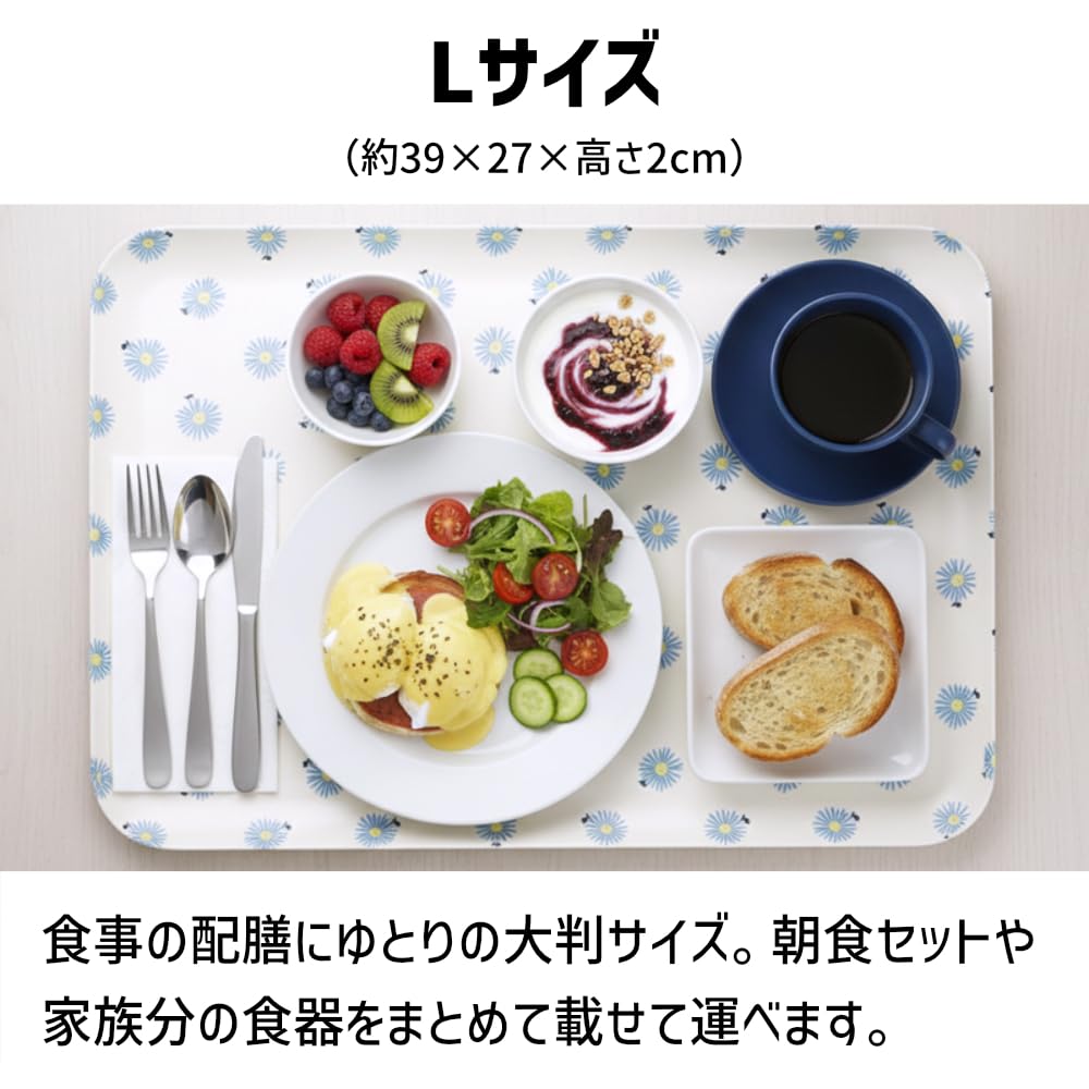 Amazon.co.jp: TATSU-CRAFT（タツクラフト） マグネットトレー L 39cm