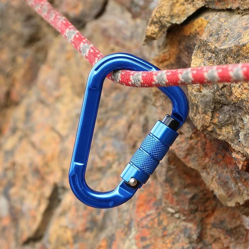 Mosquetón for Exteriores de 25 kN con Conector de Seguridad y Cierre con Resorte.(Screw-5pcs)