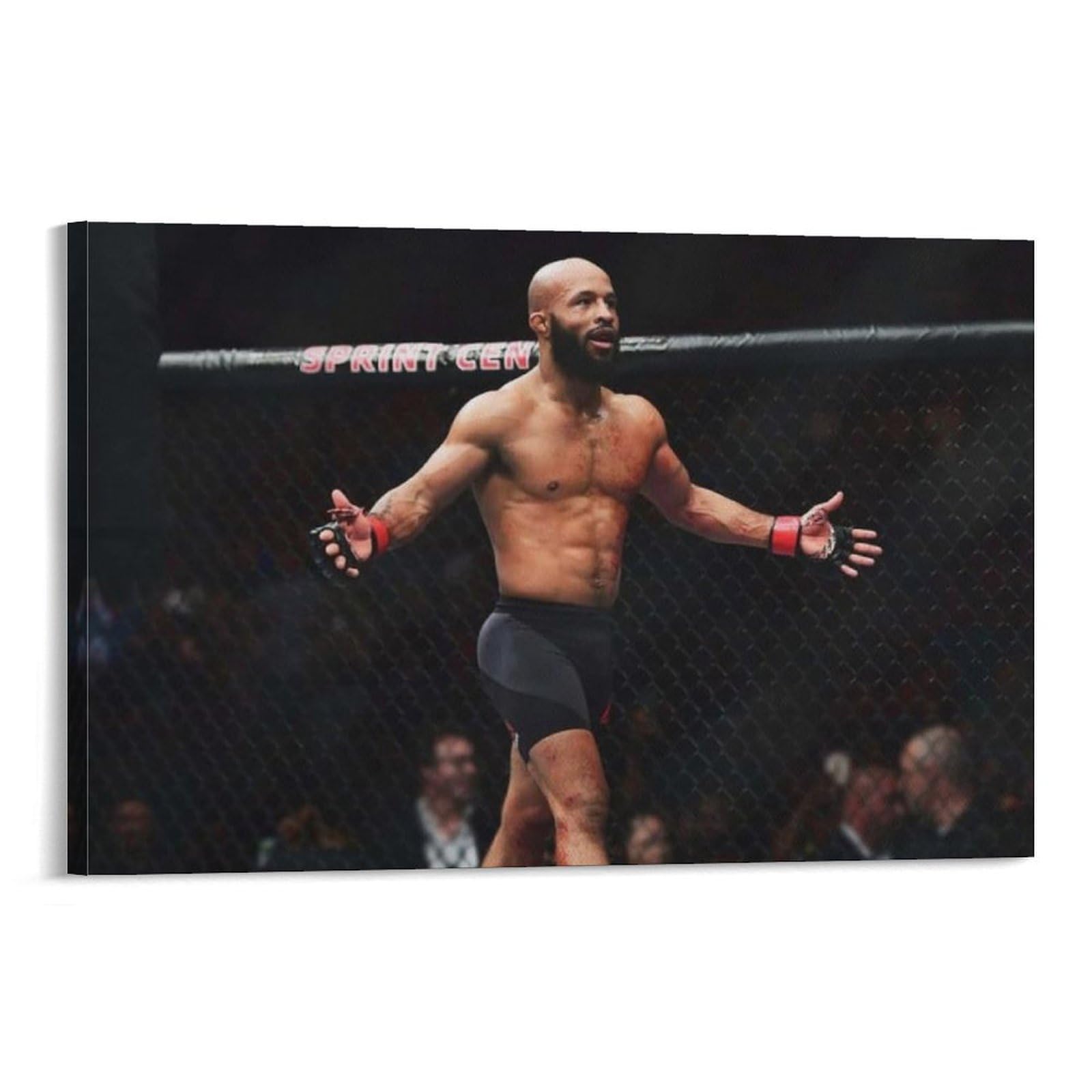 FCOIN Demetrious Johnson Canvas Poster Canvas Wall Art Poster Decorative Modern Home Print Picture Artworks Posters 20x30inch(50x75cm)