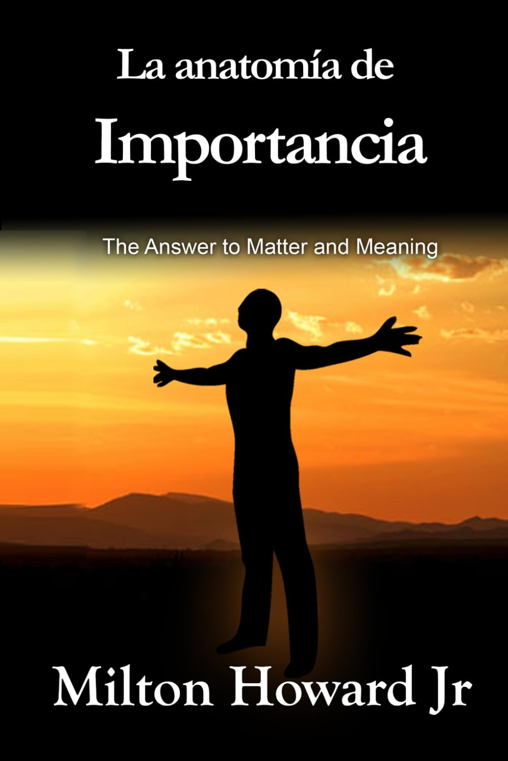 La anatomía de Importancia: La respuesta a la materia y el significado