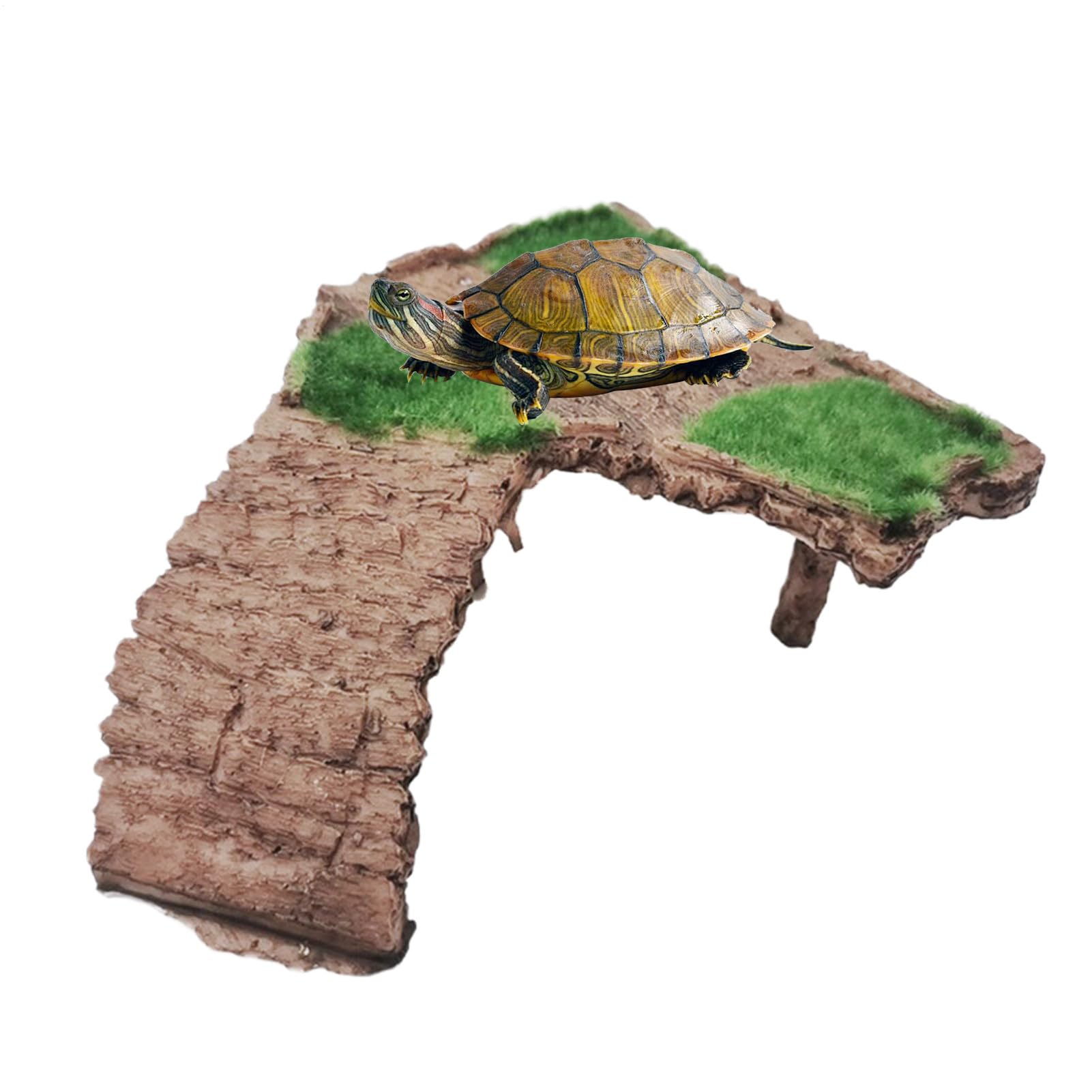Genérico Vestido Mini de Encaje Off Shoulder - Plataforma de Descanso para Terrario | Terraza Reptil Tortuga - para Ranas, Reptiles, Tortugas terrestres y acuáticas, Dragones barbudos y Geckos