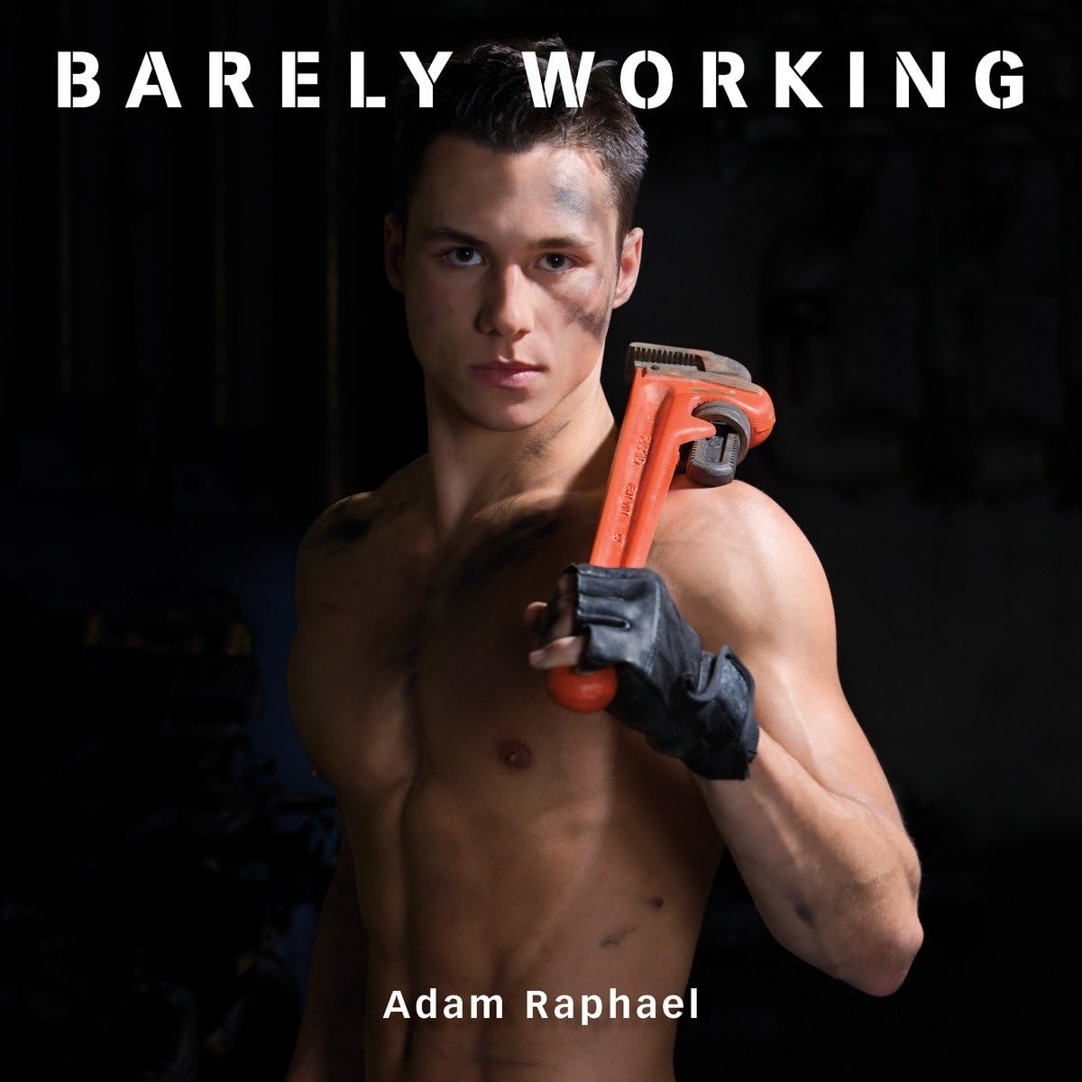 Barely Working Hardcover – August 7, 2008