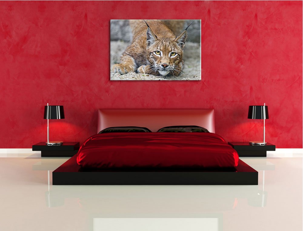 Lynx dans la neige Toile, XXL photos complètement encadrée avec de grandes images de coin, art impression sur la photo murale avec cadre, moins cher que la peinture ou une peinture à