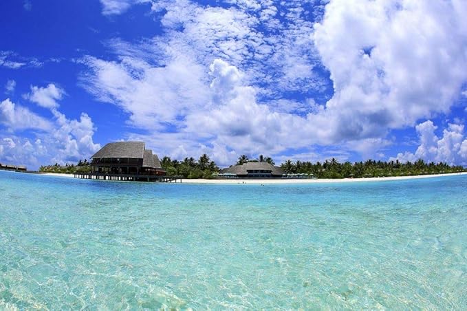 Amazon Co Jp モヨ島壁紙 ビーチ壁紙 363 キャンバス ステッカー 印刷 壁紙ポスター はがせるシール式 写真 特大 絵画 壁飾り105cmx70cm Diy 工具 ガーデン Amazon Co Jp モヨ島壁紙 ビーチ壁紙 363 キャンバス ステッカー 印刷 壁紙ポスター はがせるシール式 写真 特大 絵画 壁飾り105cmx70cm Diy 工具 ガーデン