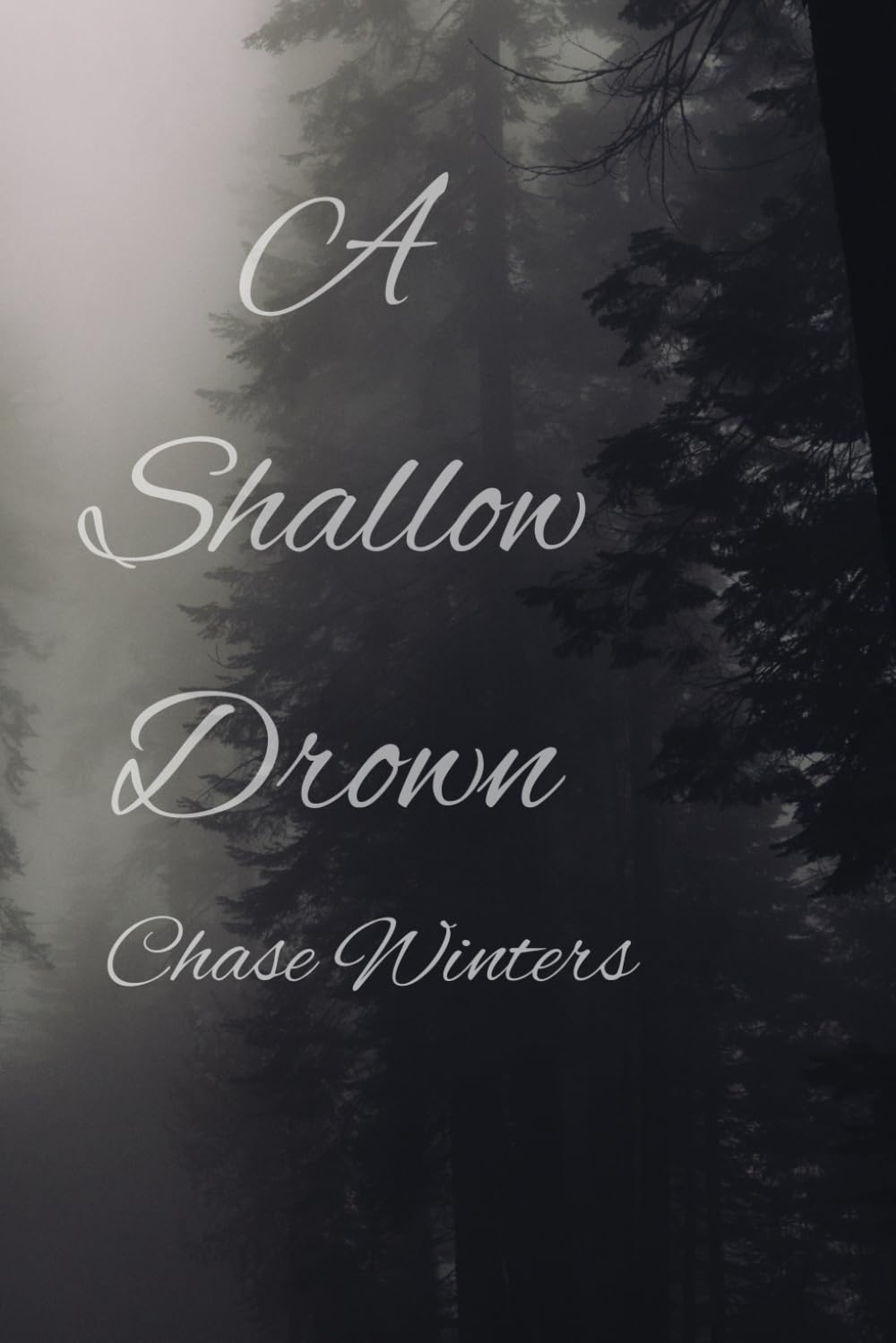 A Shallow Drown: 2 (Rising from the Ashes series)