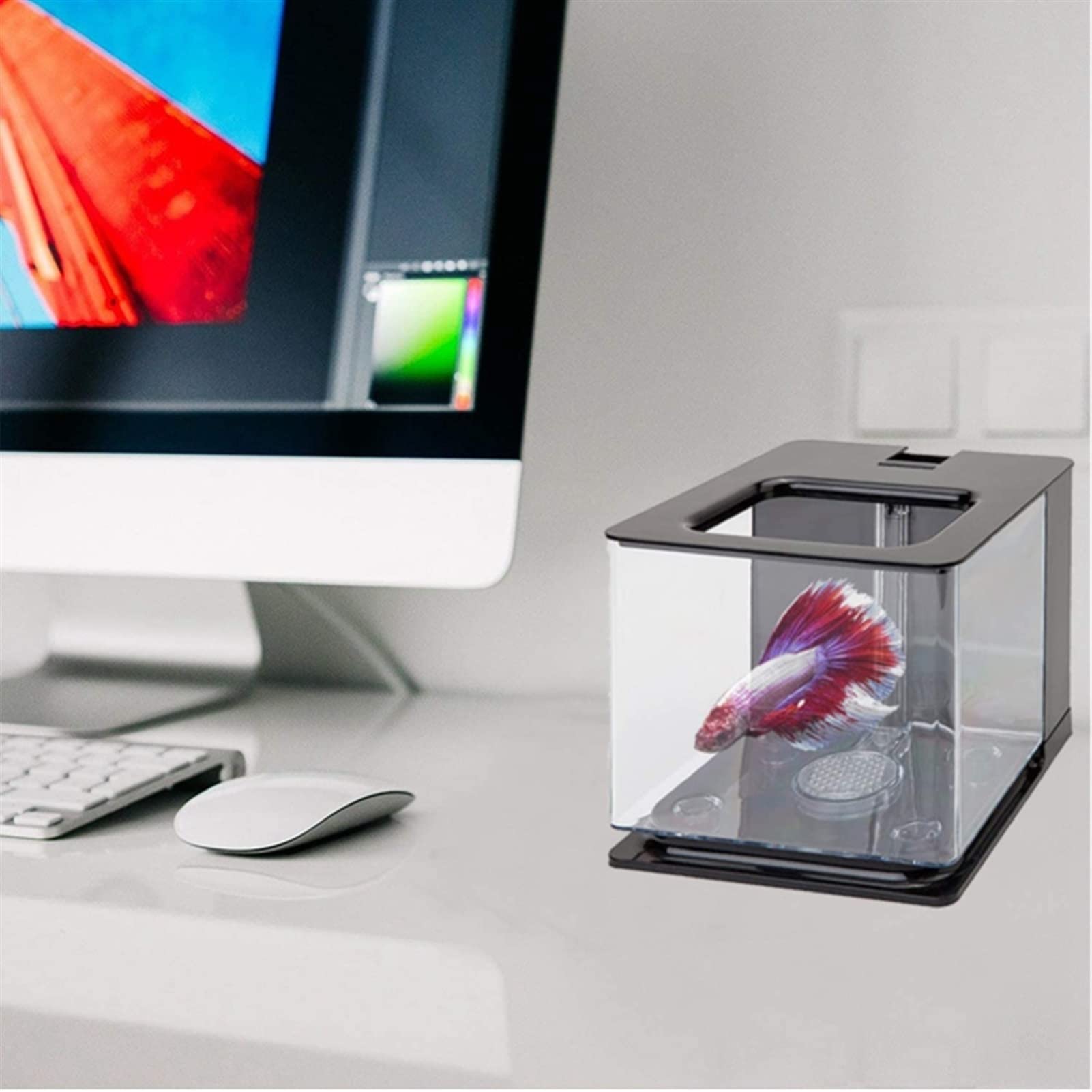 HASMI Aquarium Betta Aquarium Aquarium-Fischtank Leicht zu ändern Aquarien (Color : Wit)