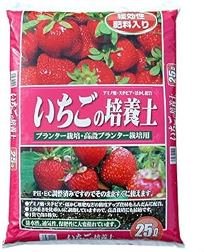 Amazon Co Jp いちごの培養土 25l 13kg Diy 工具 ガーデン Amazon Co Jp いちごの培養土 25l 13kg Diy 工具 ガーデン