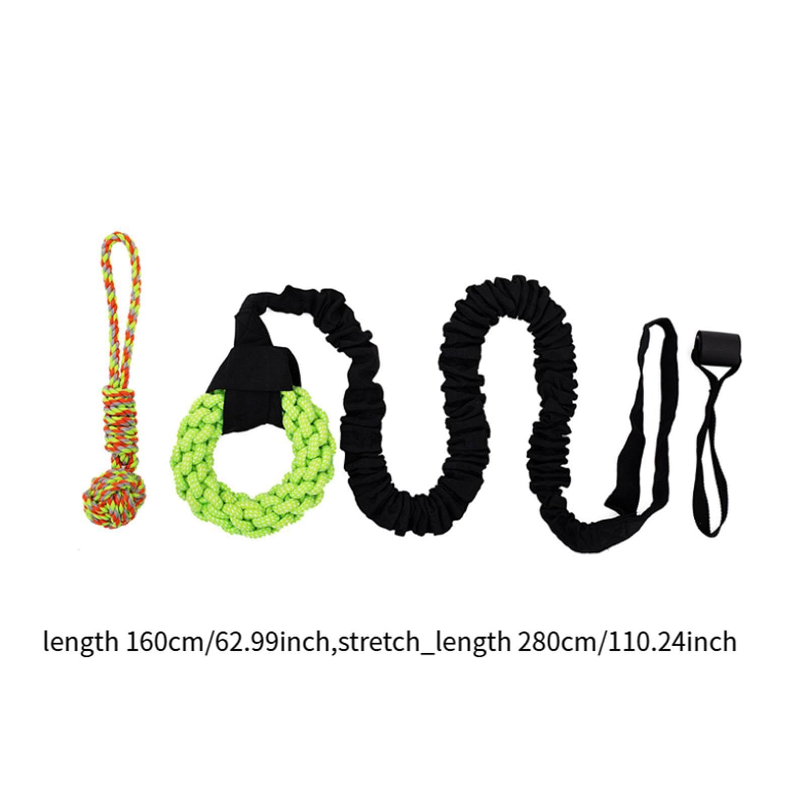 Jouet élastique pour Chien à Suspendre Aux Arbres, Corde de Jeu, Exercice pour Chiens de Toutes Tailles, Même Les Plus Turbulents, Jeu de à, Anneau Vert