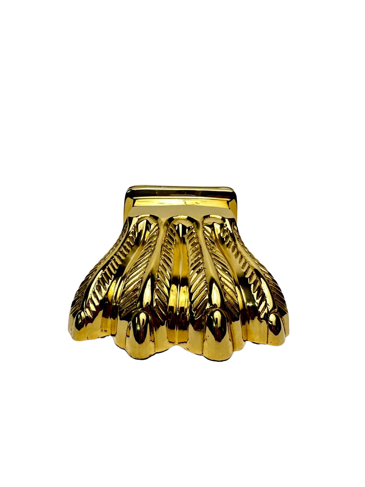 ARC & ARROWS Claw Pure Brass Door Stopper | Kitchen Decoration | Table Decor | Floor Decor | Oragniser, Home Accessories, Gate Stopper Paper Weight Animal Sculpture | Lion Foot Claw Sculptures