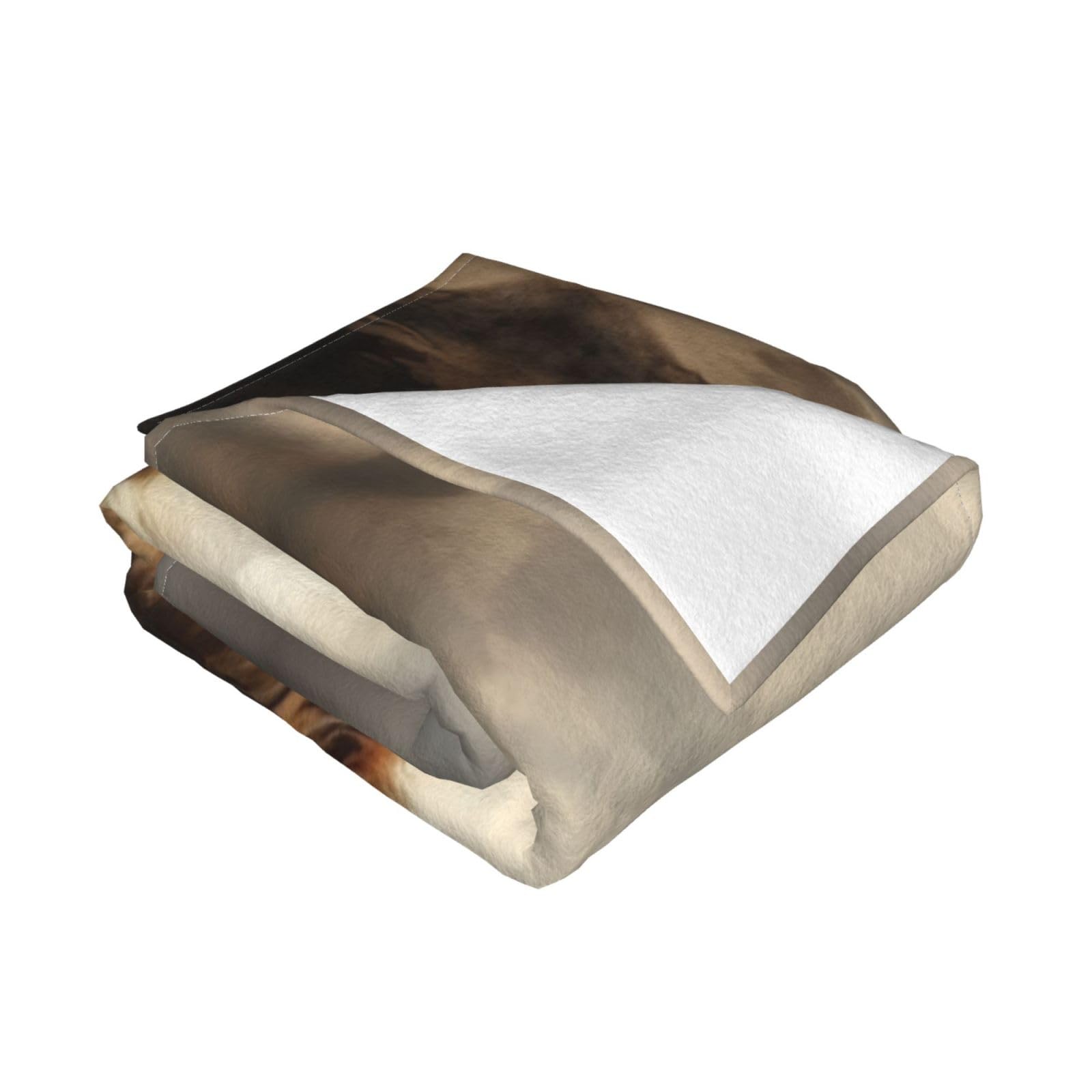 Coperta decorativa in morbida flanella calda e accogliente per bambini, cane, gatto, 127 x 152 cm, stampa di zampe di cane e animali domestici