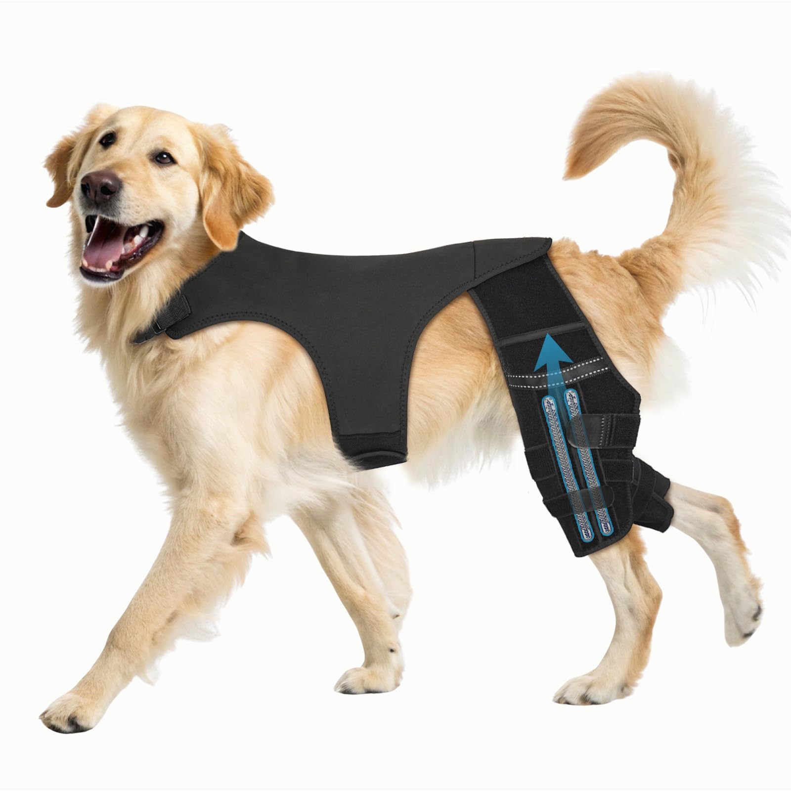 Photo 1 of Pawfun Dog Knee Brace for Torn ACL Hind Leg, Dog Leg Braces for Back Leg Support with 4 Metal Stabilizers Helps with Torn CCL, Luxating Patella, Ligament Injuries, Hip Dysplasia,L-2