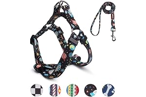 QQPETS Buzz Lightyear Dog Harness and Leash Set