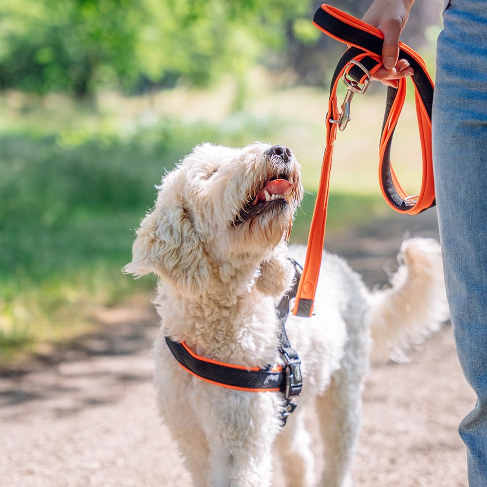 Pettorina Nobby Mesh Preno Stile Norvegese Per Cani - Rosa/Nero, Taglia S-M (38-50 Cm) - Foto 4