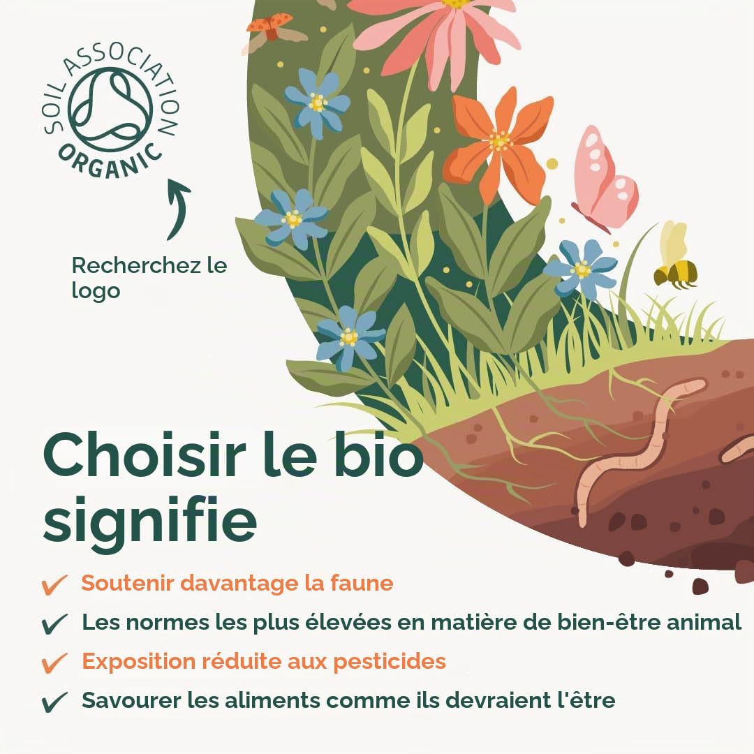 Huile d'origan 25ml - Huile d'origan sauvage C80-80% carvacrol - Aucun additif - Végan - Origanum vulgare hirtum - SC Nutra (Sweet Cures)