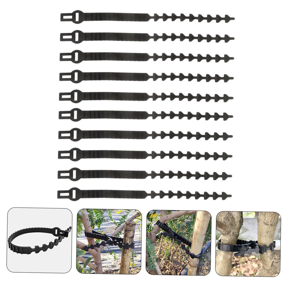 Alasum Flexible Gummi Astbinder für Bäume und Bonsai | Schwarz, zum Fixieren von Ästen und Wuchs, 10 Stück Pack, Gummi, für Außenbereich