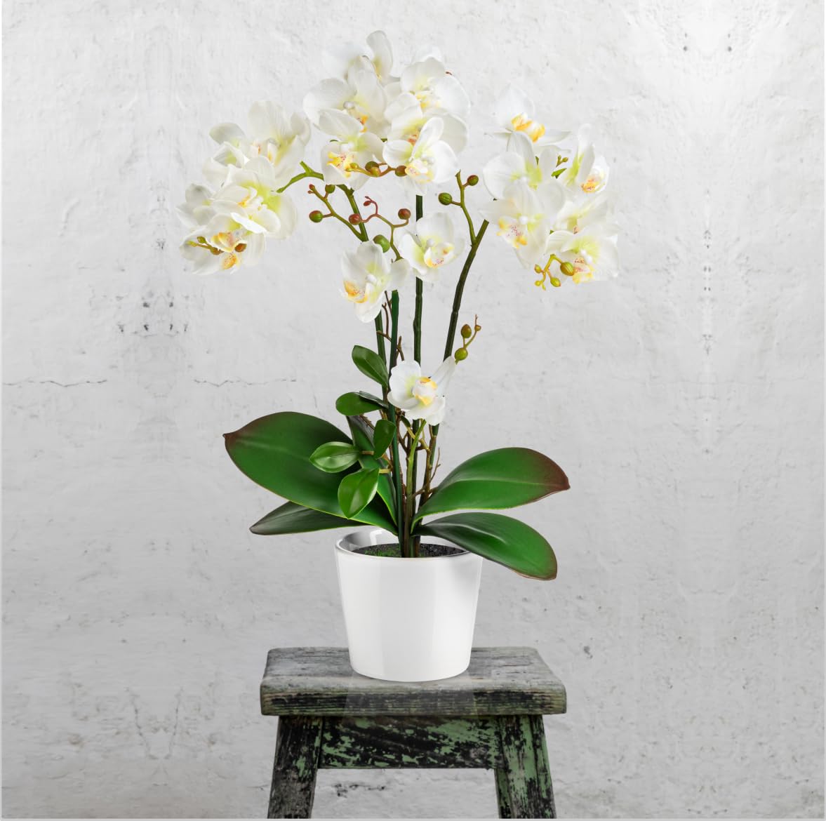 PASCH® Orchidées Artificielles Dans Des Pots en Céramique Brillante (46 cm) | Fleurs en Pot (Blanc)