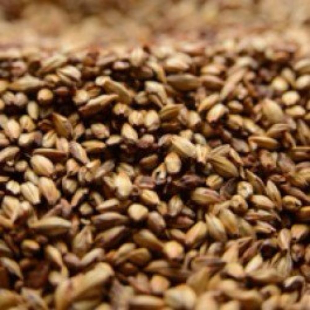 Briess Caramel 60L Malt 10 lb