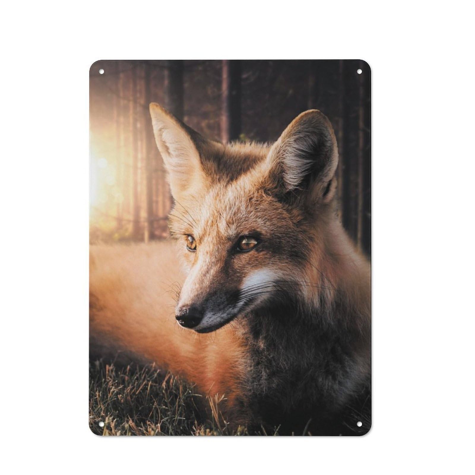 Junmoney Sunset Fox Retro-Style Metal Plaque 40X30cm For Garage Or Workshop, For Garage, Workshop And Man Cave Decoration