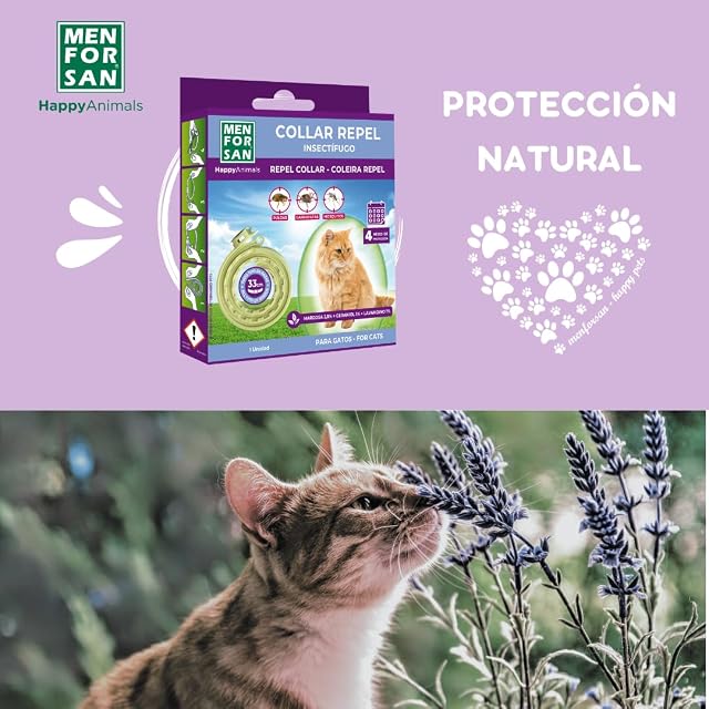 Foto 7 de 7 de MENFORSAN Collar Antiparasitos Para Gatos Con Ingredientes Naturales Margosa, Geraniol Y Lavandino, Cítrica