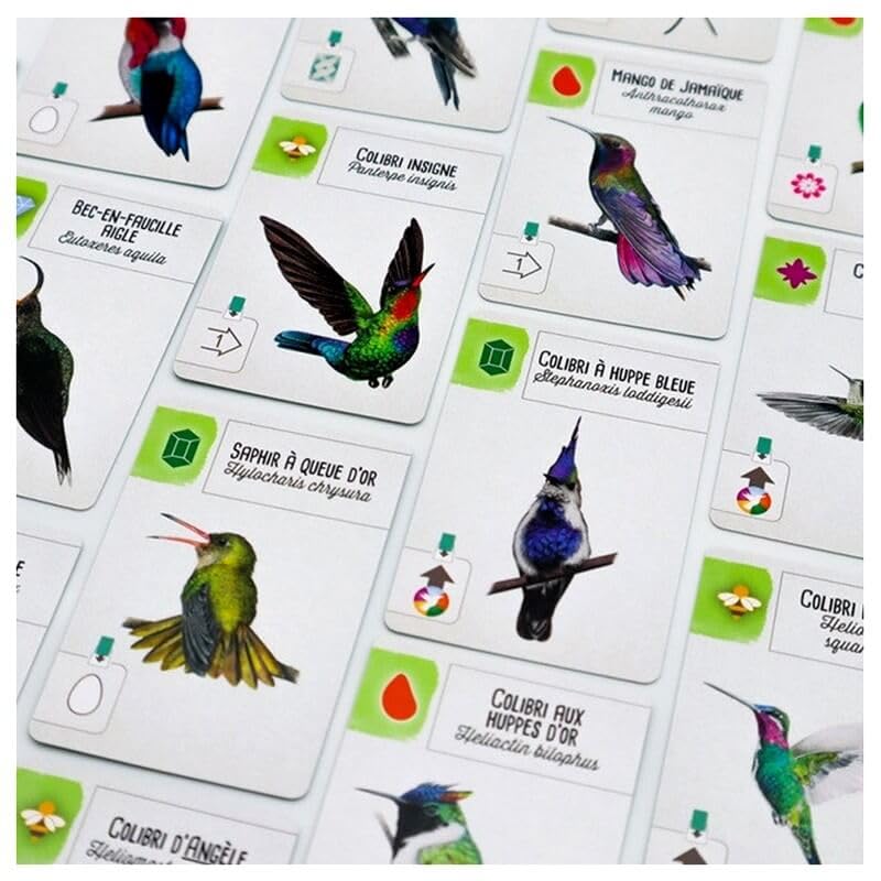 Matagot Wingspan Amériques - 4ème Extension Officielle Oiseaux du Mexique, Amérique Latine & Caraïbes | Nouvelle Mécanique Colibris | Jeu de Société 1 à 5 Joueurs dès 10 Ans | Elizabeth Hargrave